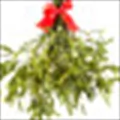Mistletoe